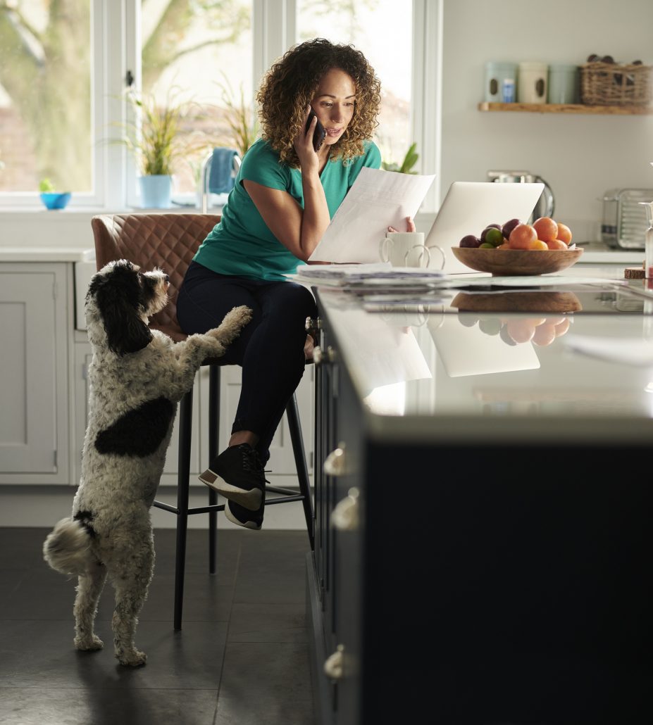 finding pet insurance