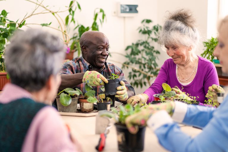 A group of retired friends enjoying time growing a garden together.